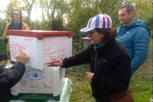 Szlov�k m�h�szek S�rv�ron